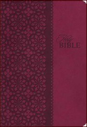 King James Study Bible Cranberry Leather-soft
