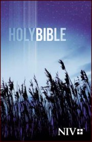 NIV Outreach Holy Bible-Blue Wheat Softcover