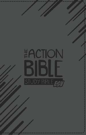 The Action Study Bible ESV Gray Virtual Leather