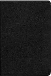 KJV Life In The Spirit Study Bible Genuine Black Leather