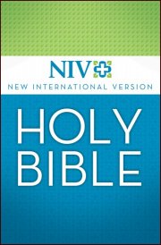 NIV Version Bibles